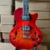 GROTE 12 STRING ELECTRIC GUITAR SEMI-HOLLOW BODY WITH MAPLE VENEER